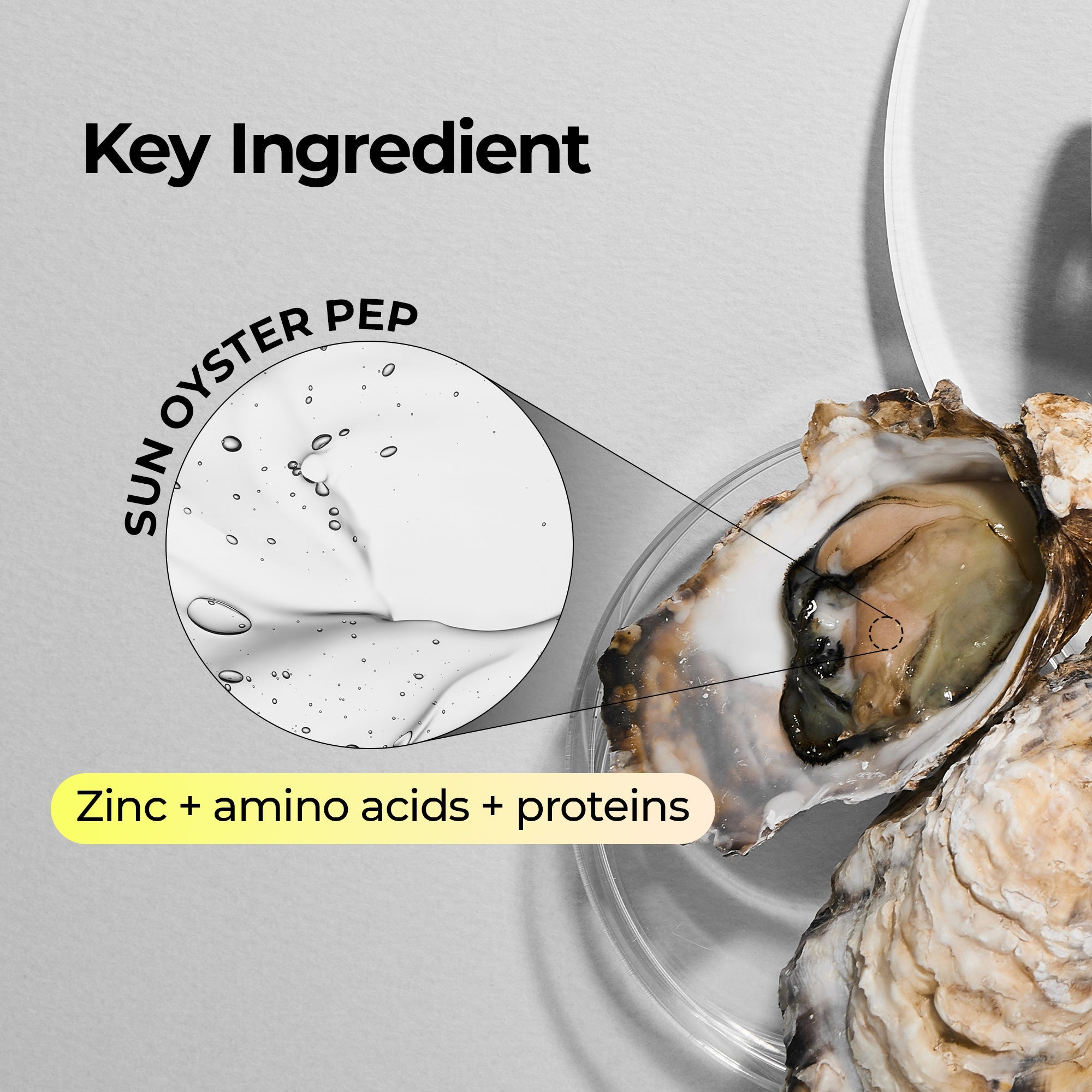 Oyster Pep-3 Renewal Serum & Cream Duo - image 7